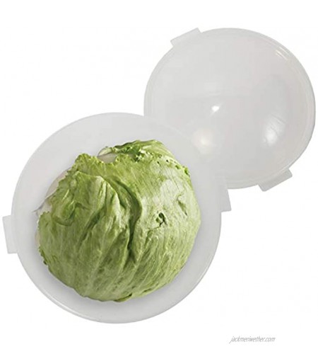 Trenton Gifts Lettuce And Vegatable Storage Keeper | 7 X 8